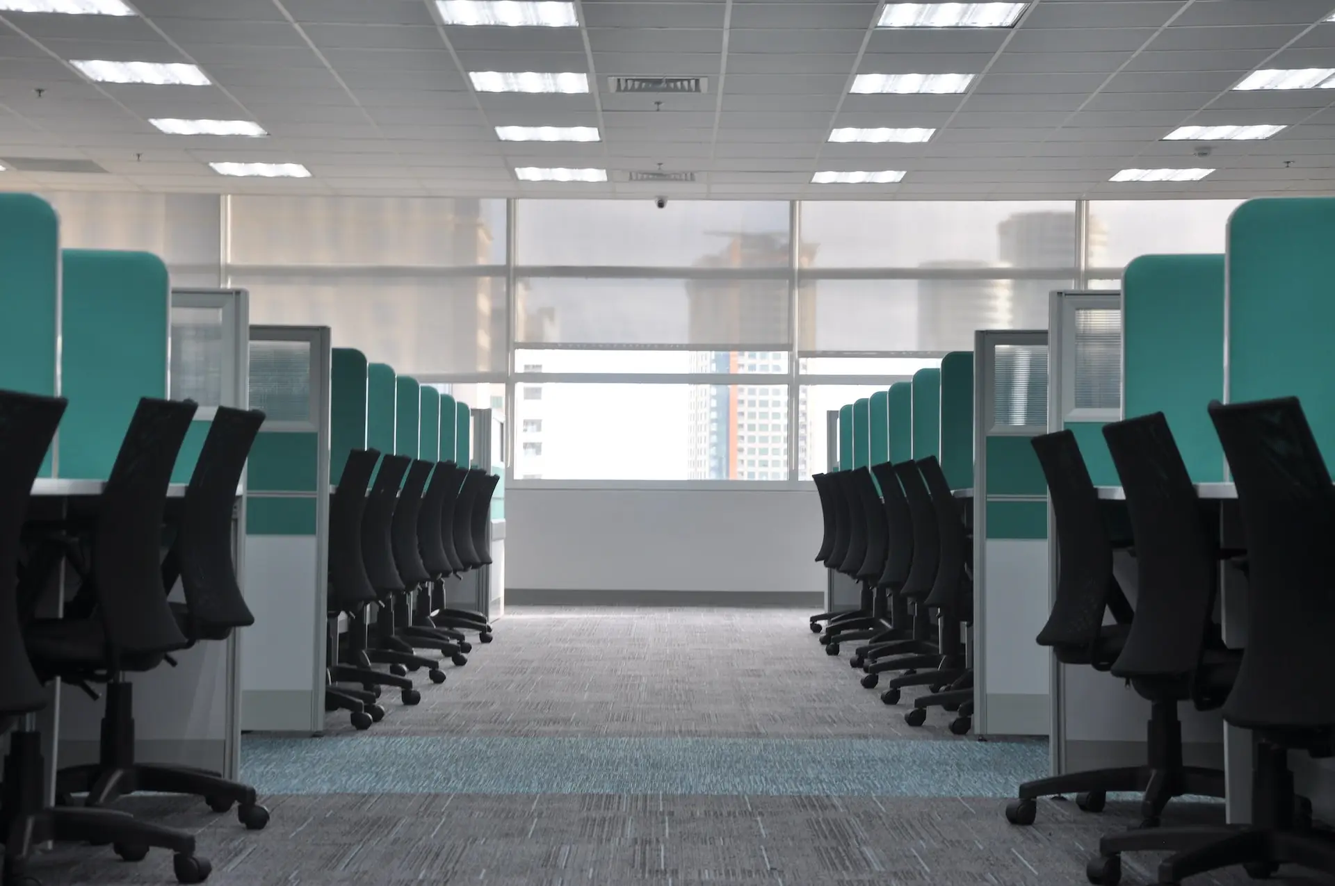 A carpeted office looking for commercial carpet cleaning services